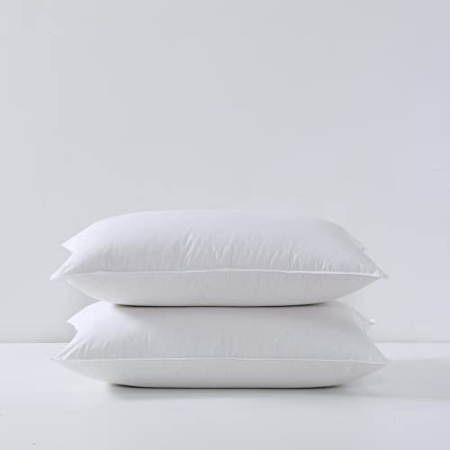 Dreamstead Premium Sleeping Pillow Set | Duck Down | 700 Fill Power