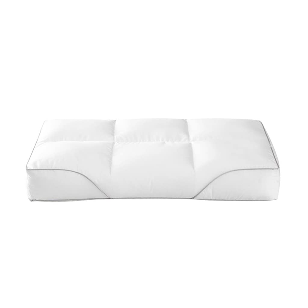 Comfortable and Soft A Pair of Pillows for Sleeping. The Special Soybean