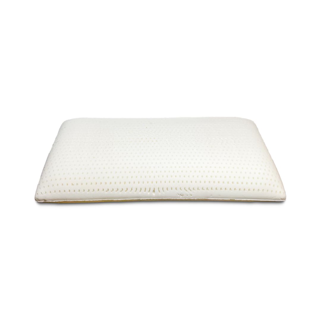 DS Latex Pillow with Organic Cotton Cover (Standard Size, Medium) GOTS Certified