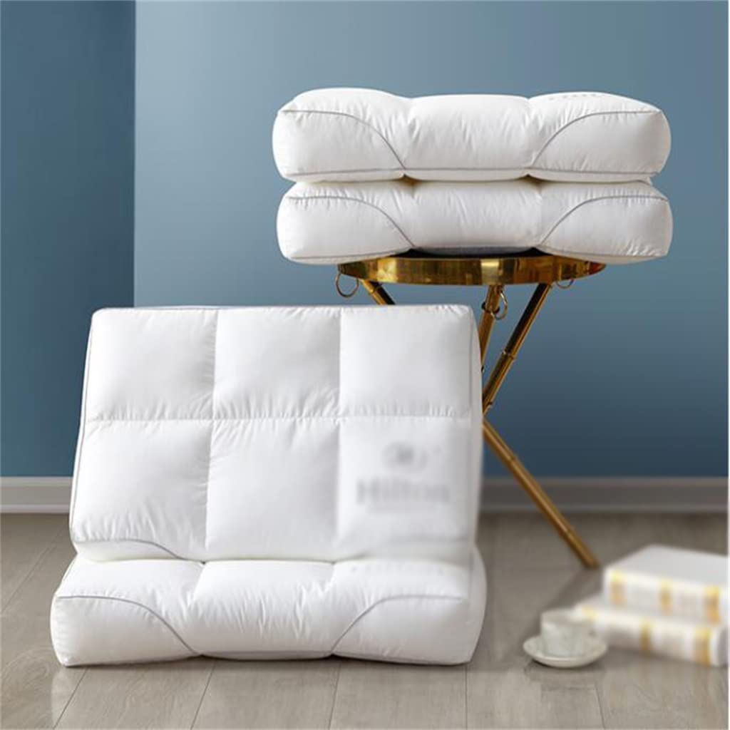 Comfortable and Soft A Pair of Pillows for Sleeping. The Special Soybean