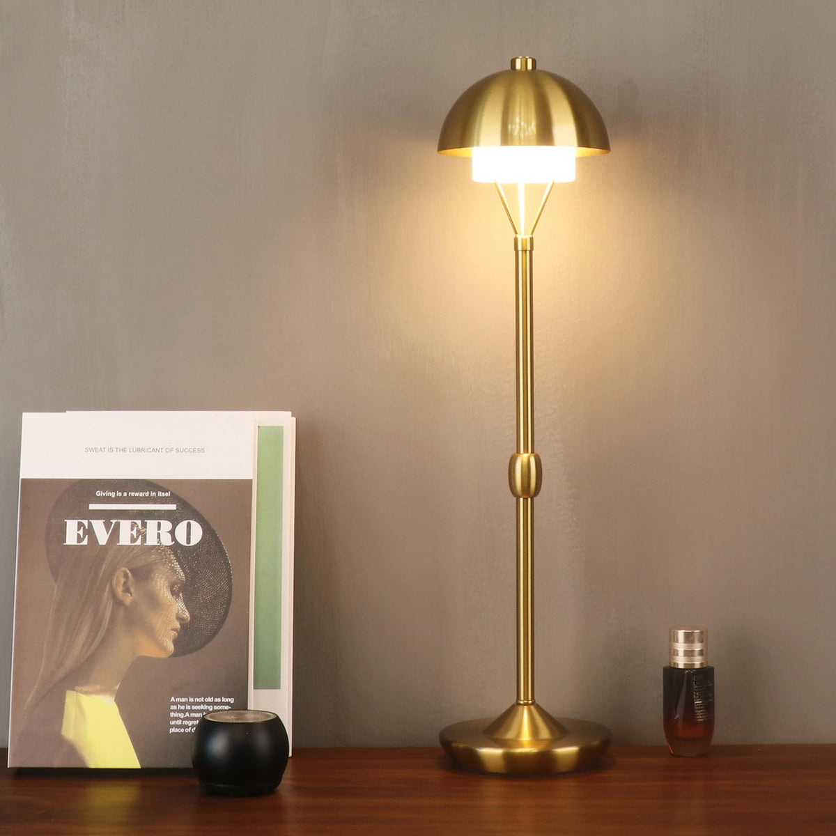 Cordless Rechargeable Table Lamp with Dimmer
