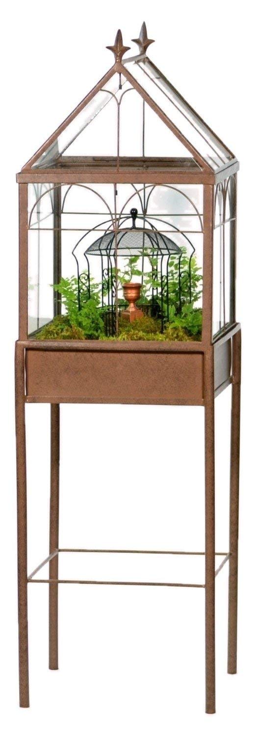 Freestanding Glass Terrarium Wardian Case – 49" Tall