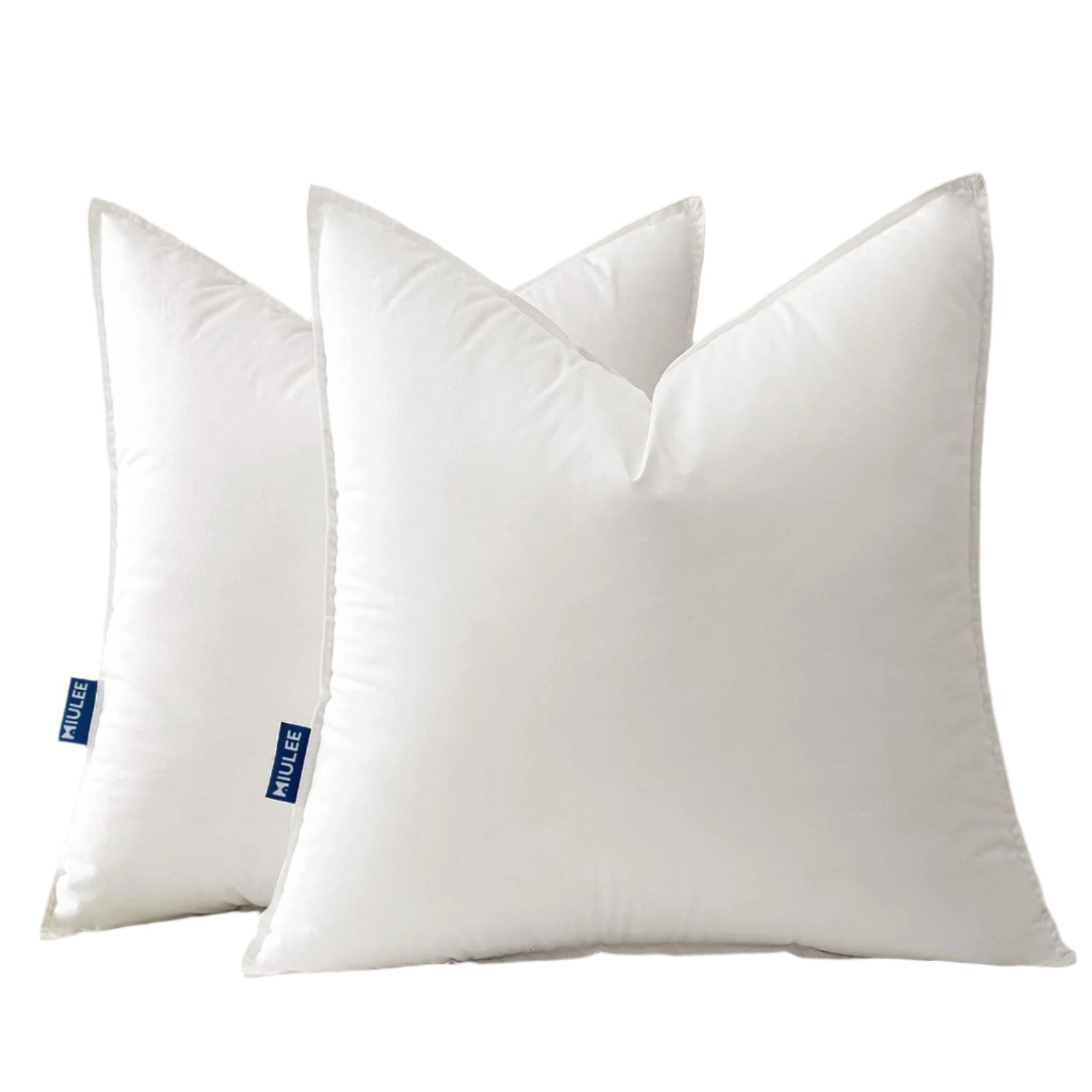 20x20 Throw Pillow Inserts,Set of 2 Decorative Pillow Inserts with Soft