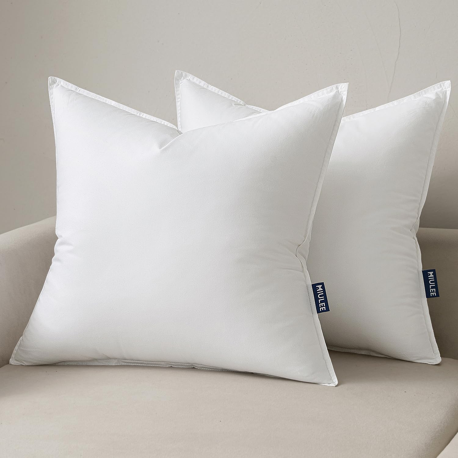 20x20 Throw Pillow Inserts,Set of 2 Decorative Pillow Inserts with Soft
