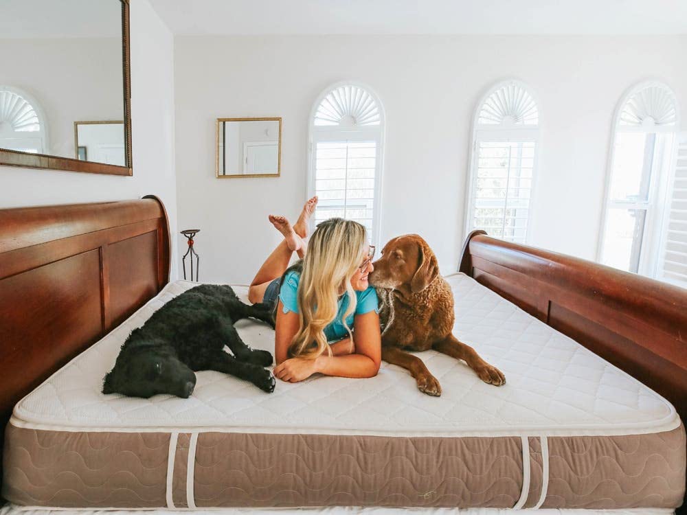 Royal Luxury Mattress Queen - Organic Wool Mattress with Quilted Cover