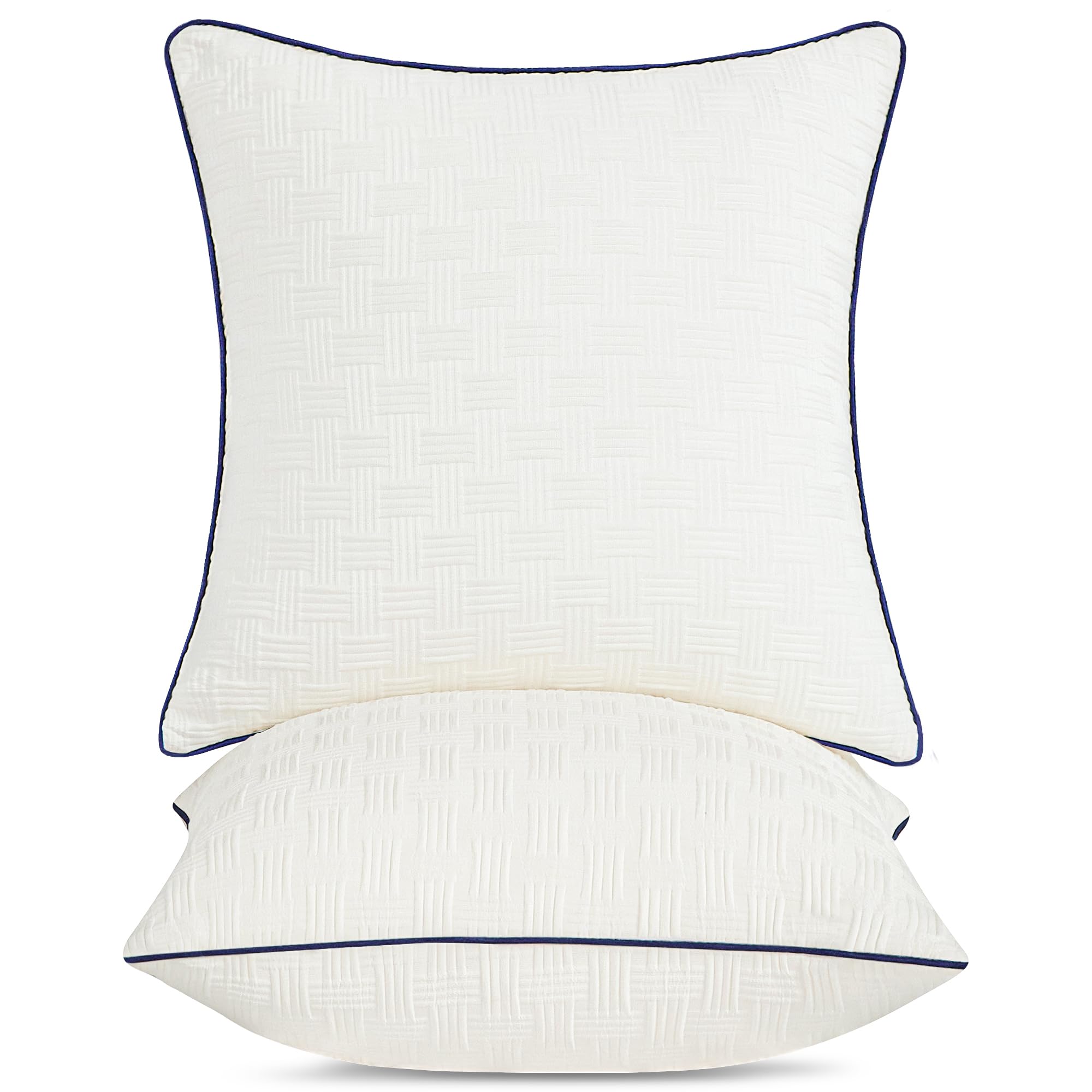 20x20 Pillow Inserts Set of 2 - Square Decorative Throw Pillows