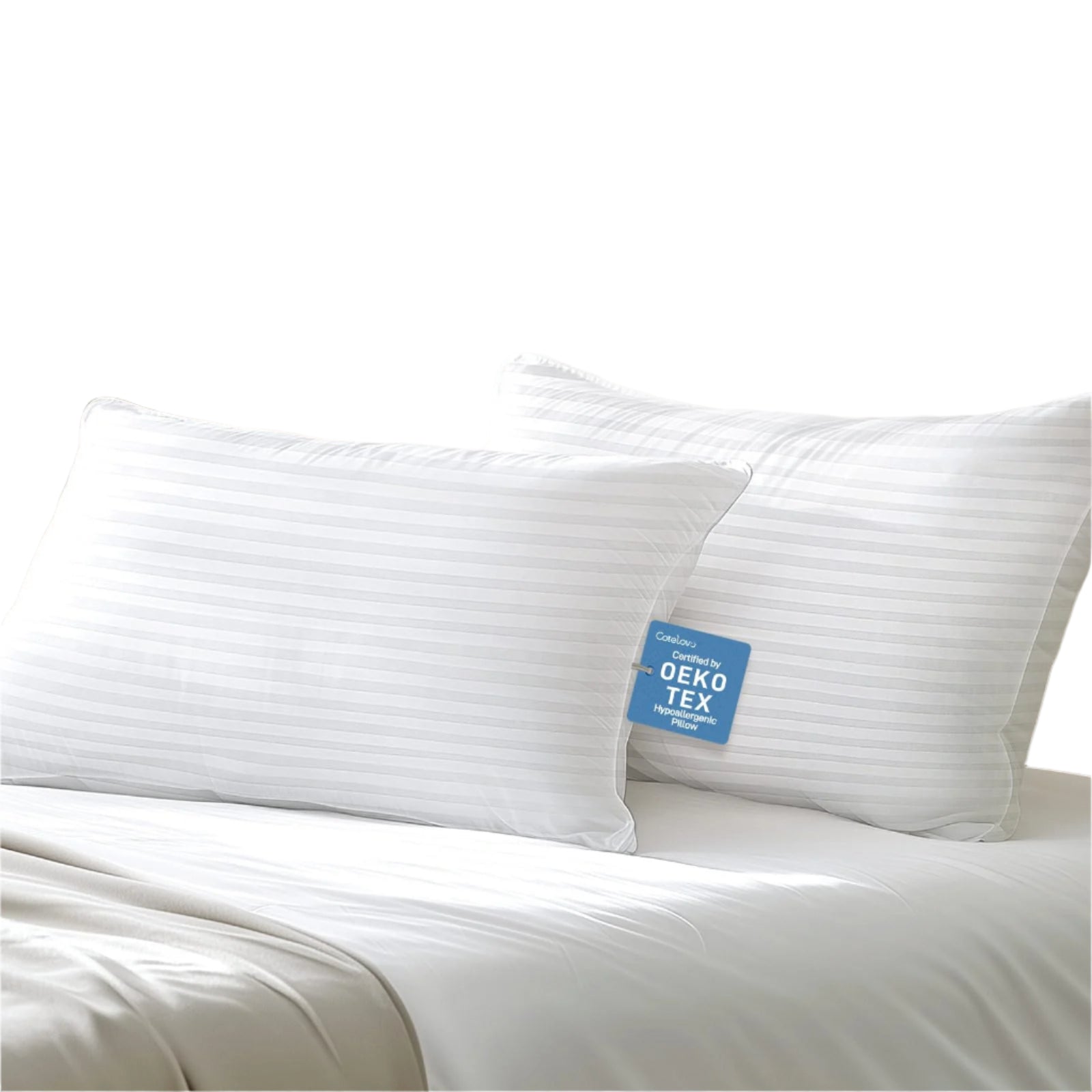 Soft Standard/Queen Size Set of 2 Pillows, Down Alternative Filling