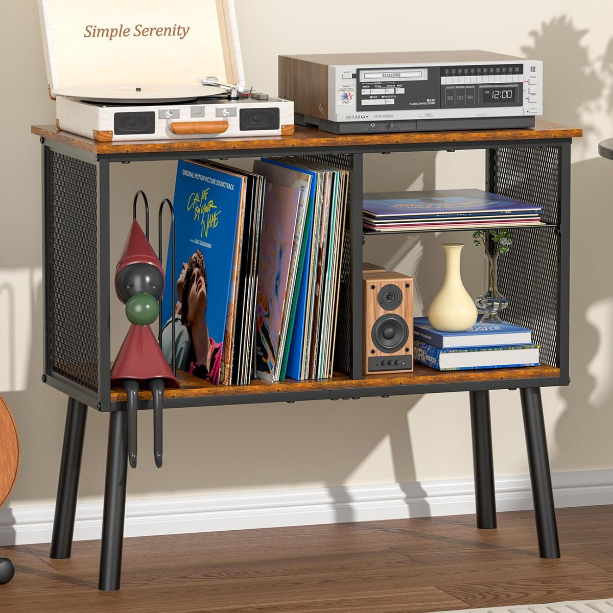 Vinyl Record Stand with Adjustable Divider & 3-Compartment Storage