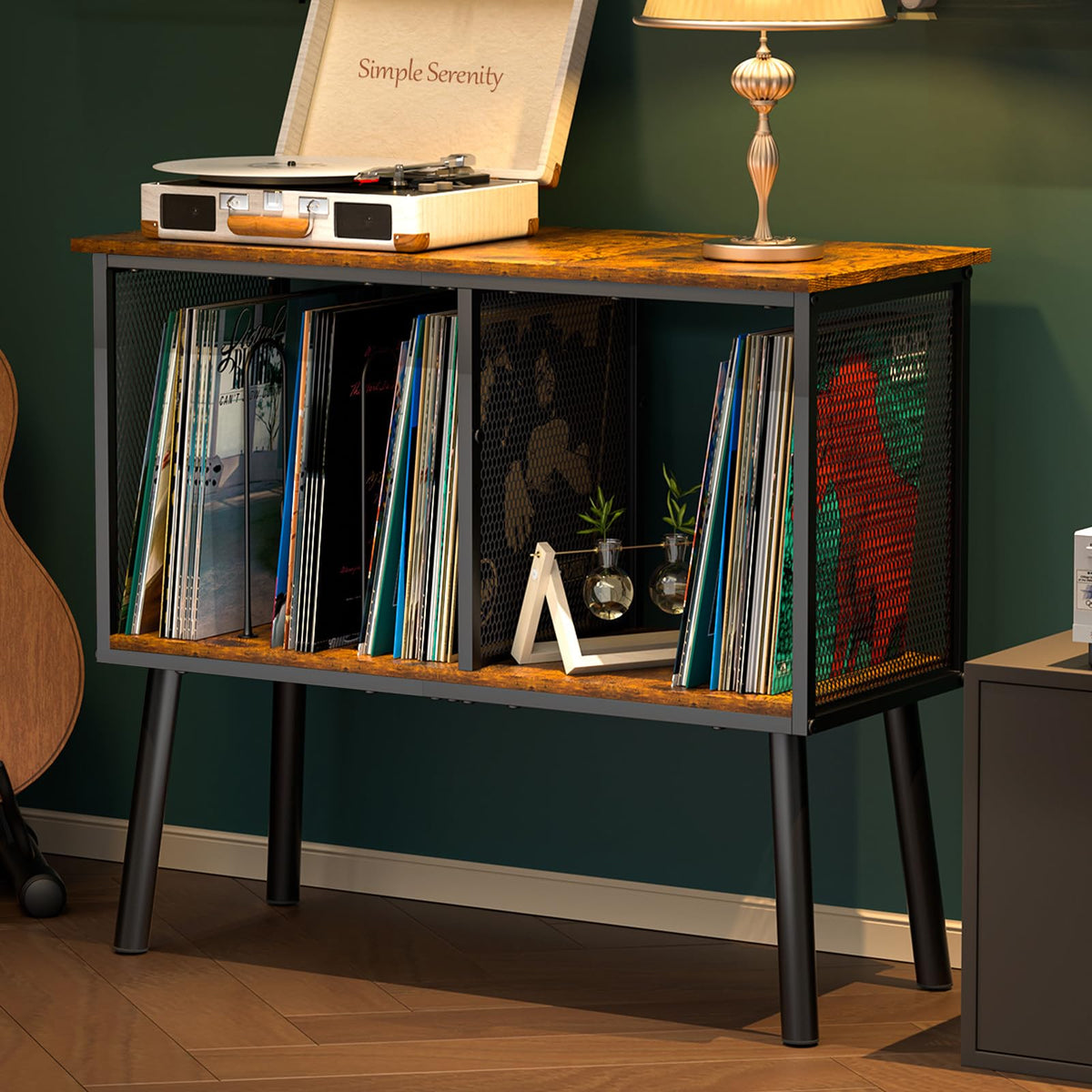 Vinyl Record Stand with Adjustable Divider & 3-Compartment Storage