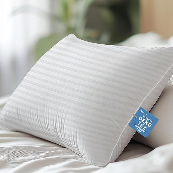 Soft Standard/Queen Size Set of 2 Pillows, Down Alternative Filling