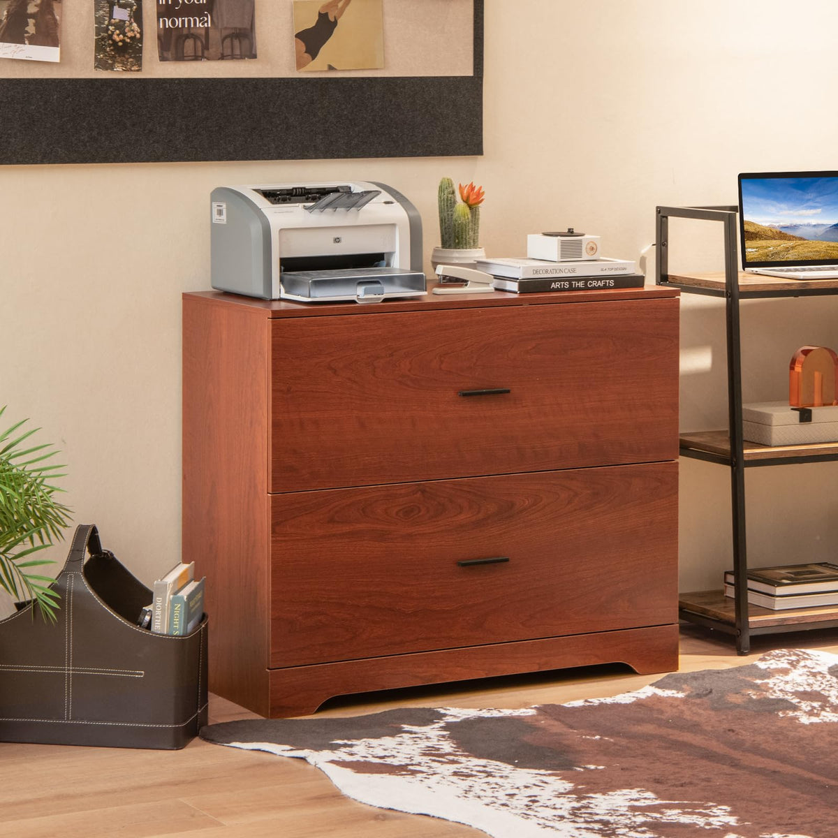 2-Drawer Lateral File Cabinet with Adjustable Hanging Bars