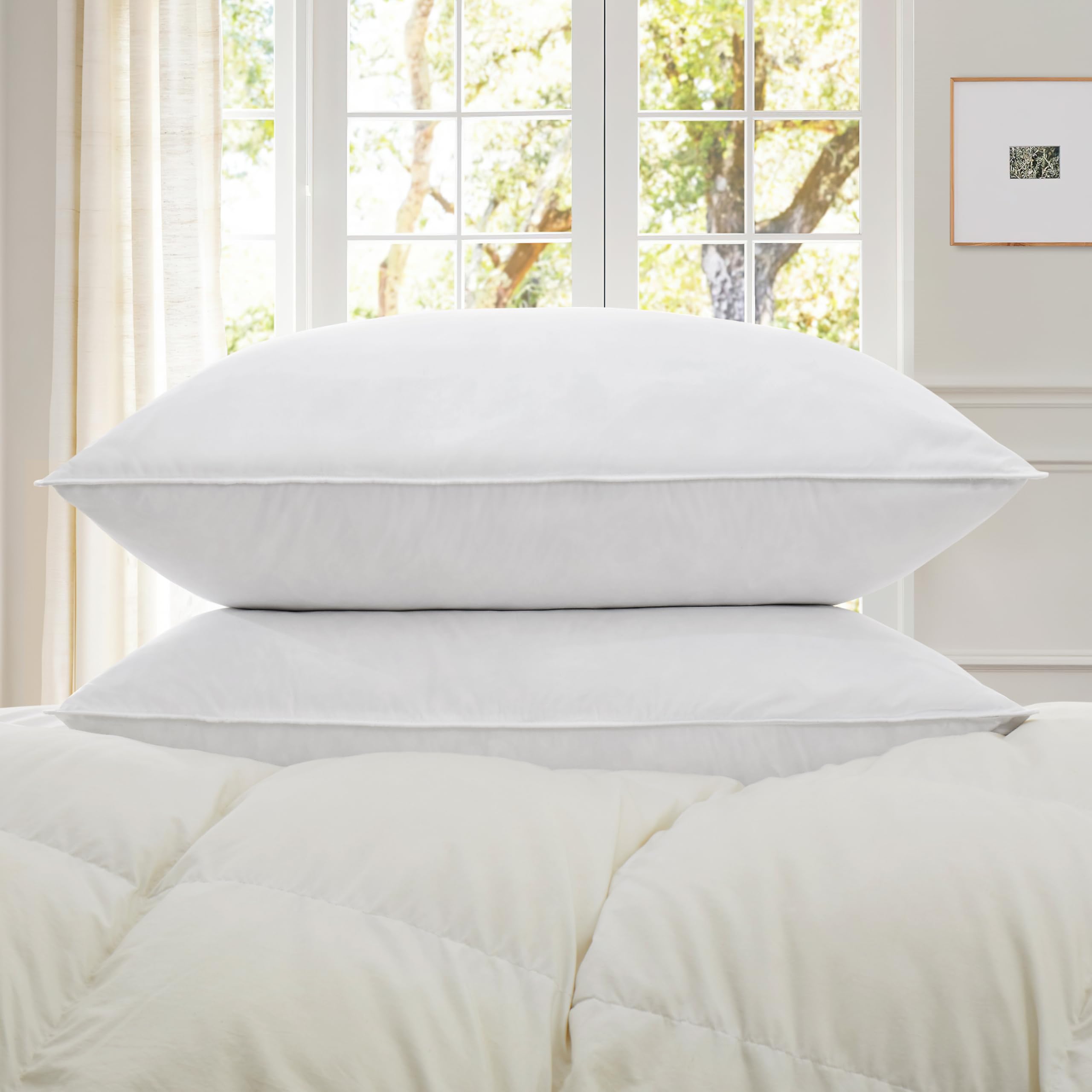 Grey Goose Feather Down Pillow for Sleeping(2 Pack)- King Size(20IN×36IN)
