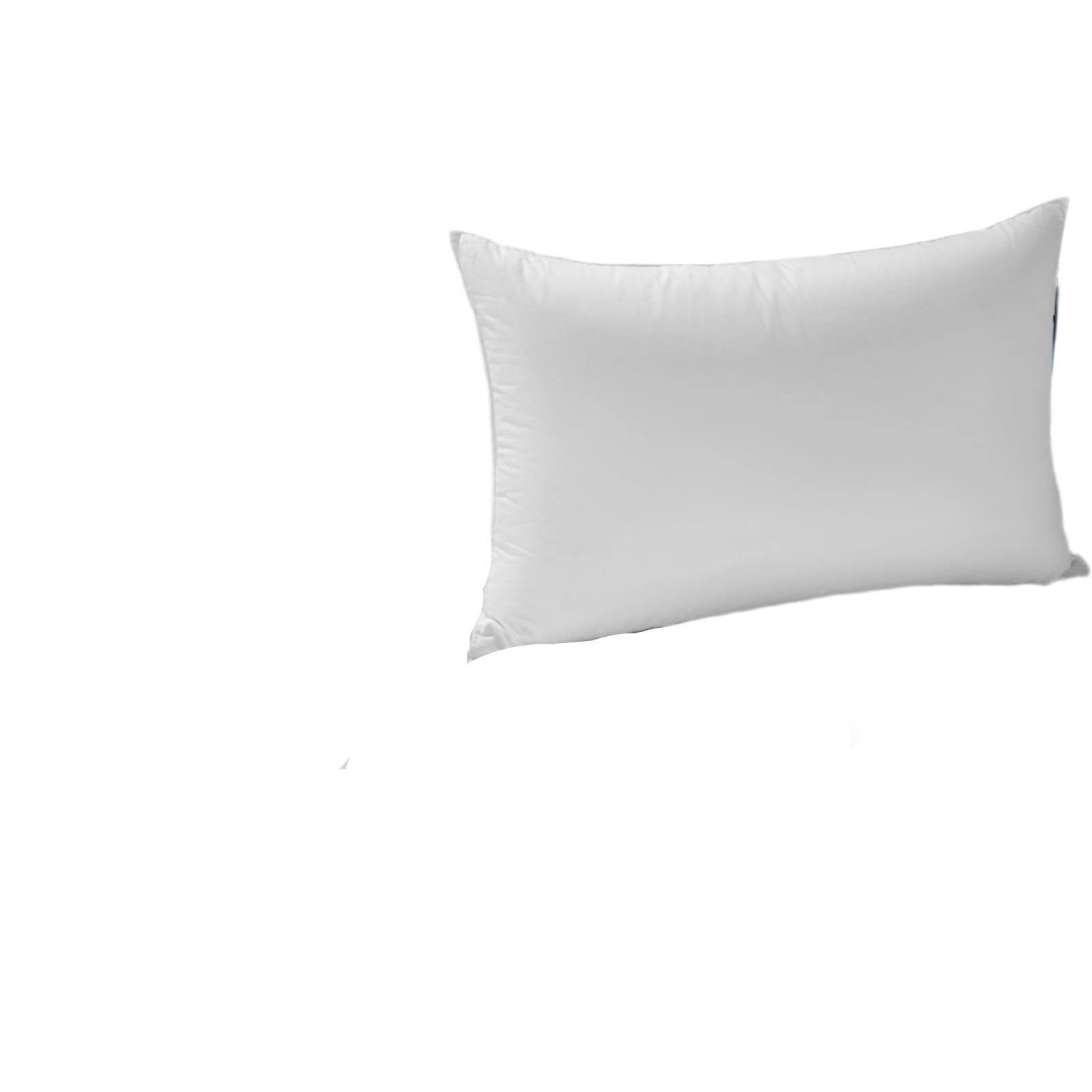 n Luxury Goose Down Pillow Queen Size - 900 Fill Power