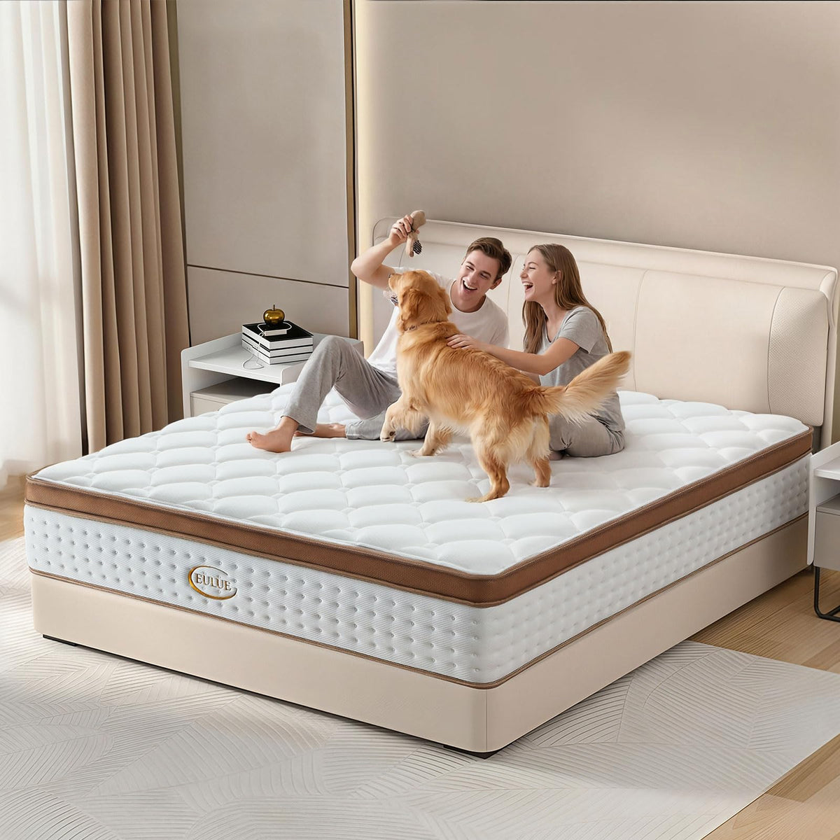 Queen Hybrid Pillow Top Mattress, 14 Inch, Medium Firm, CertiPUR-US