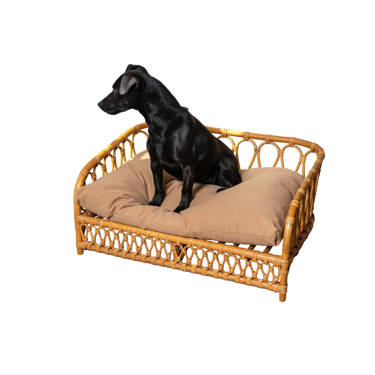 Rattan Dog Daybed with Cushion