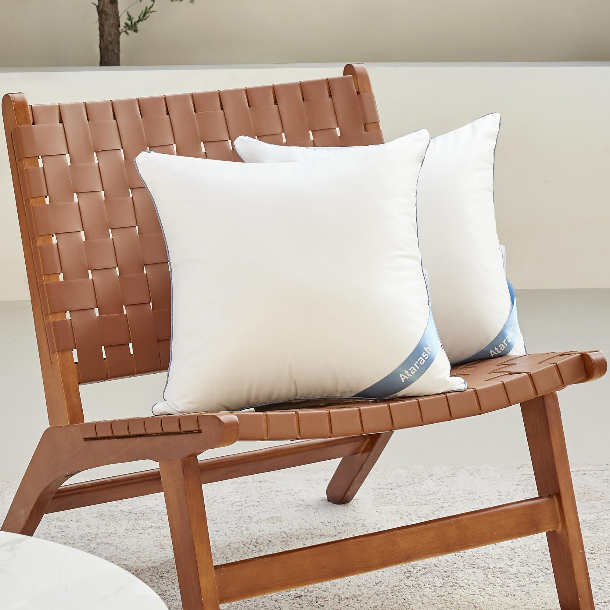 20 x 20 Outdoor Pillow Inserts(Set of 2) - Waterproof Decorative Square
