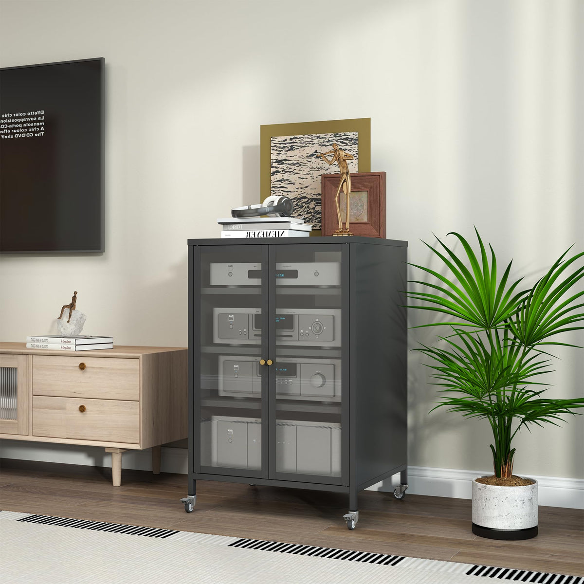 Metal Media Storage Cabinet with Glass Doors