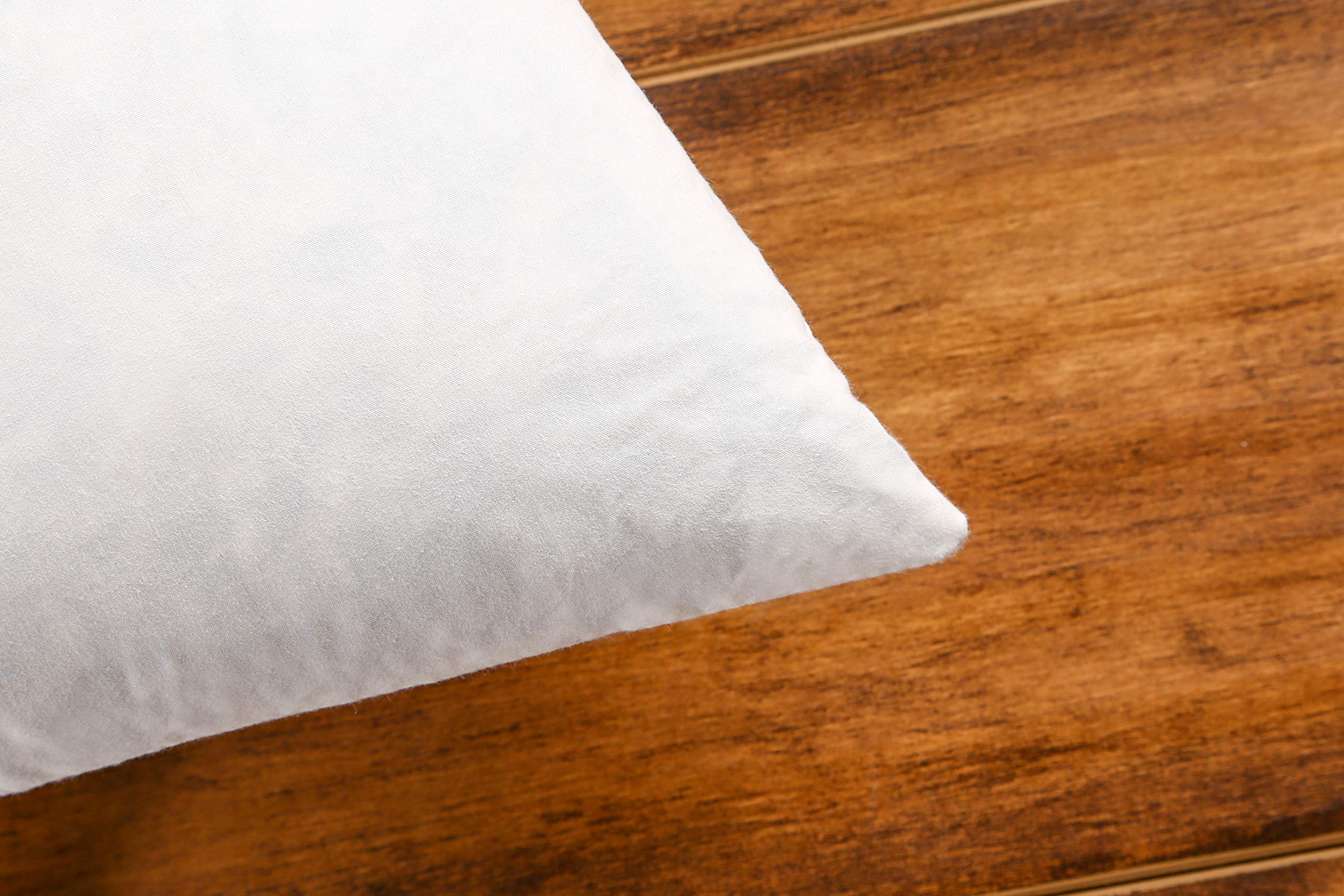 20×20 Premium Goose Down Feather Throw Pillow Inserts(Set of 2)